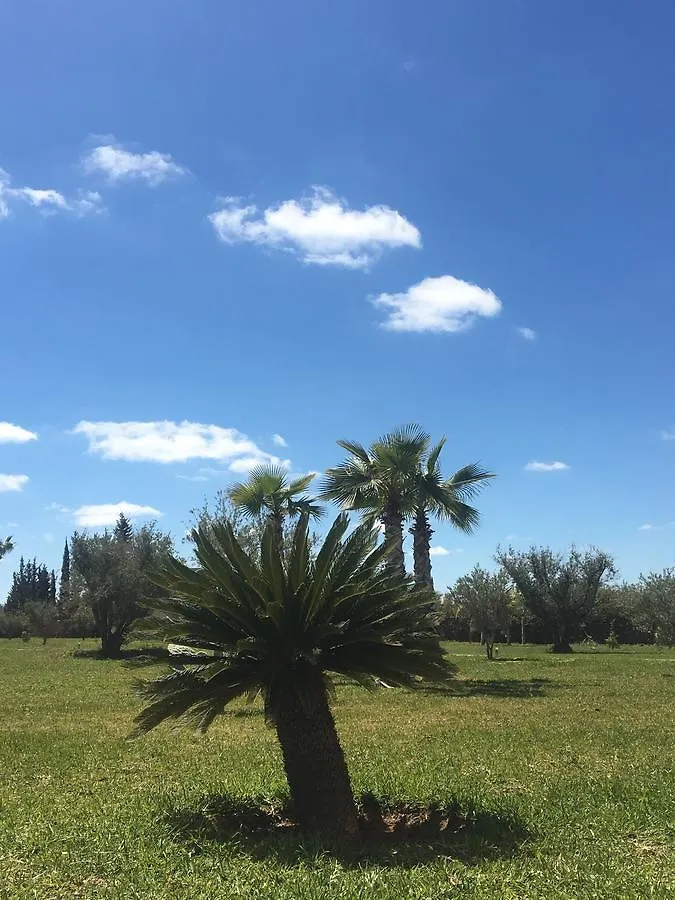Villa Romanouk Марракеш Отель типа 